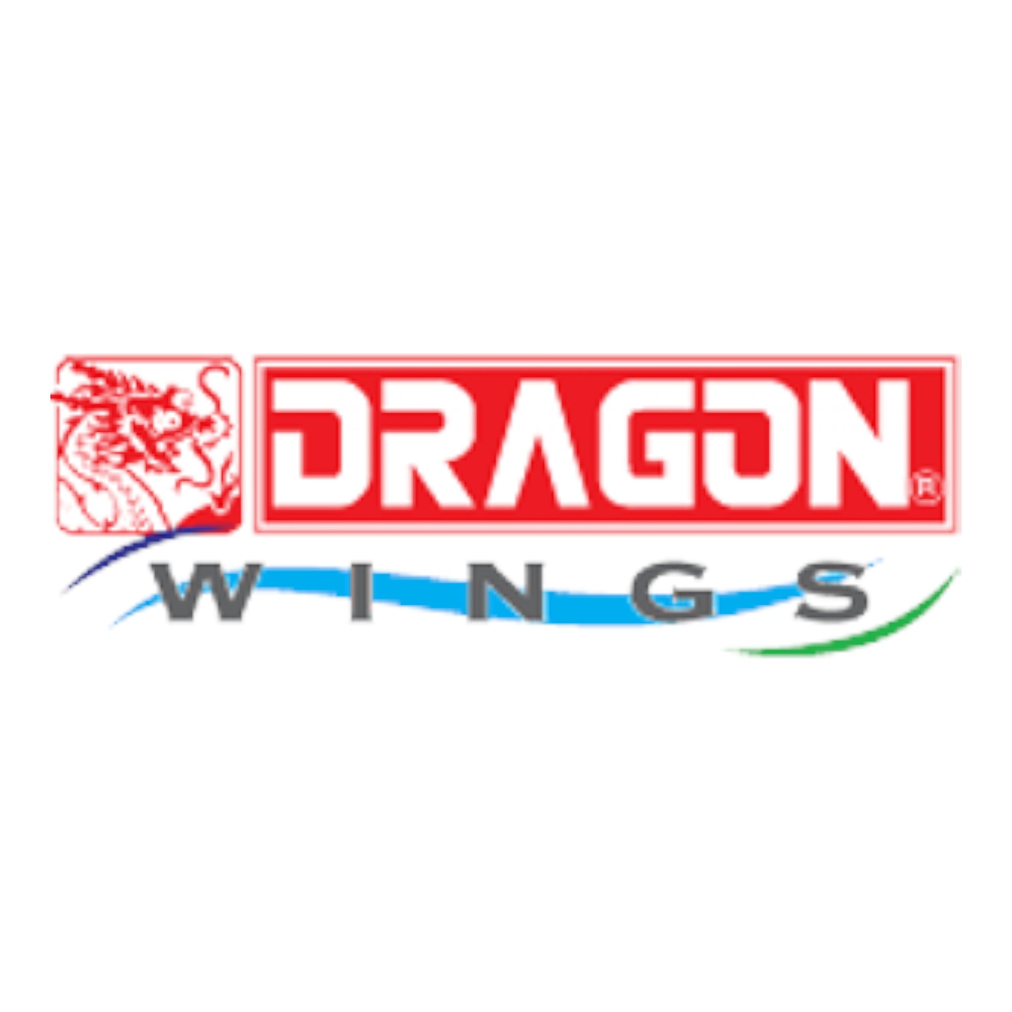 Dragon Models Brand Logo